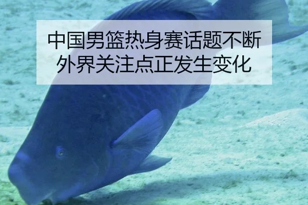 中国男篮热身赛话题不断 外界关注点正发生变化